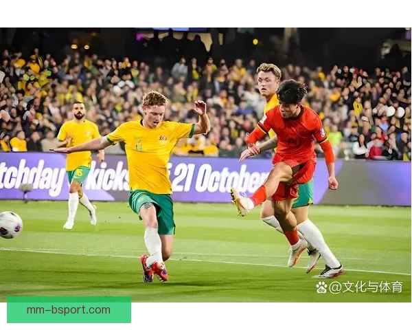 全面解析世界杯预选赛当前形势与各洲出线格局演变前瞻强队走势与黑马机会